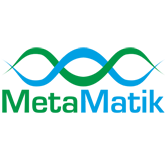 MetaMatik